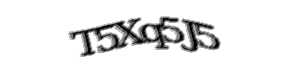 Security check image, please type the characters shown